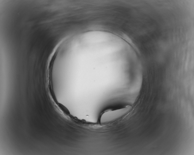 X0000085211140200703301636