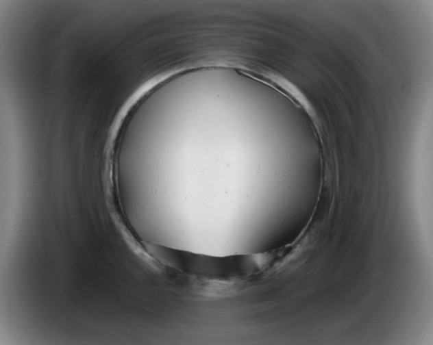 X0000085211144200703301636