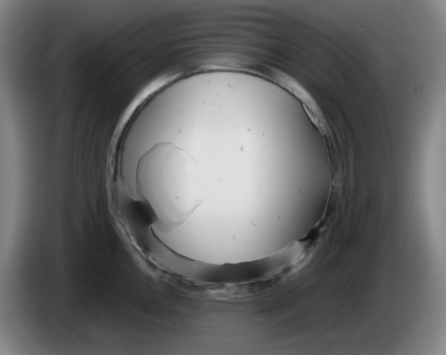 X0000085211146200703301636