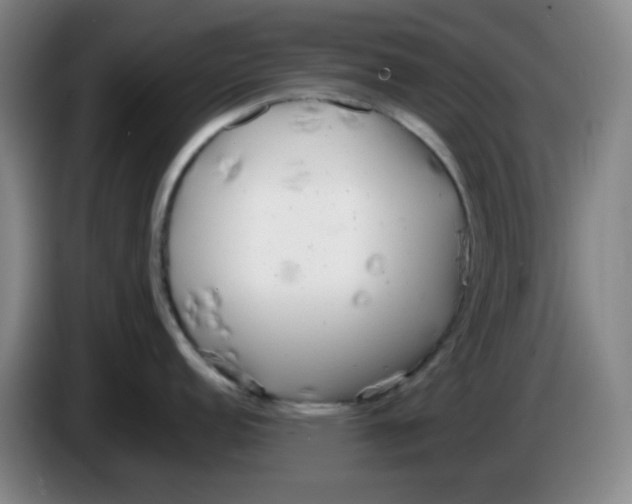 X0000085211152200703301636