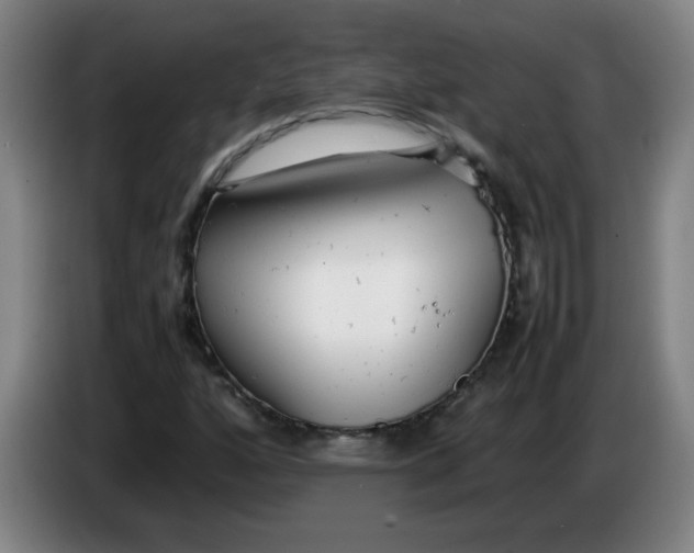 X0000085211160200703301635