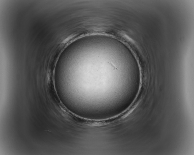 X0000085211161200703301635