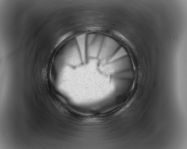 X0000085211162200703301635