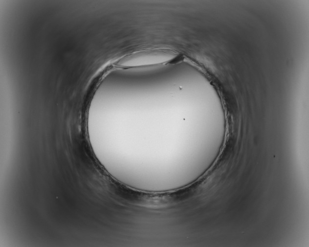 X0000085211165200703301635