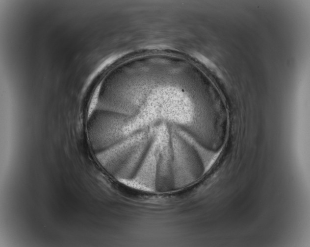 X0000085211167200703301635