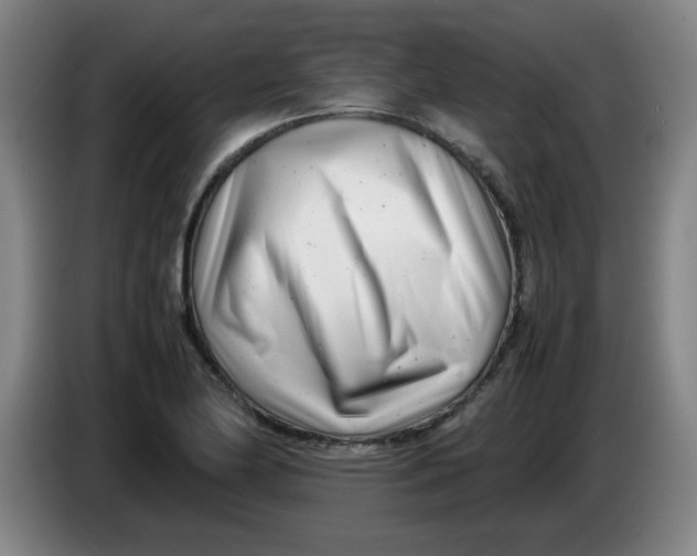 X0000085211174200703301635