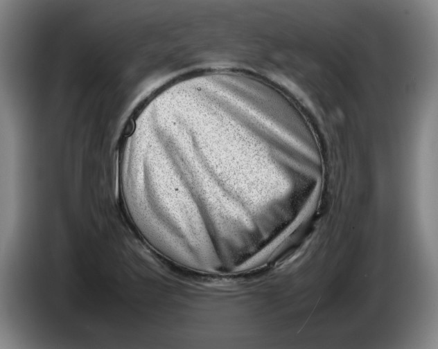 X0000085211175200703301635