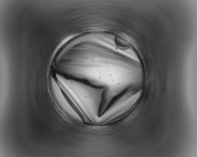 X0000085211179200703301635