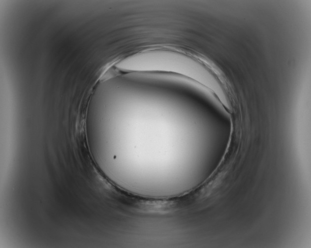 X0000085211193200703301635