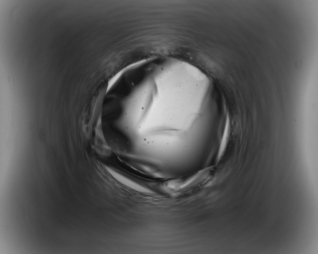 X0000085211202200703301634