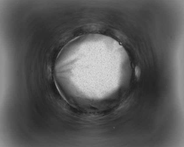 X0000085211203200703301634