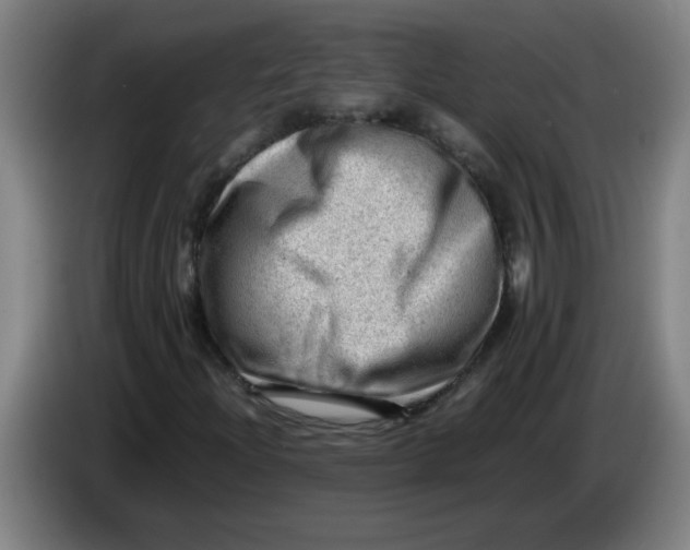 X0000085211204200703301634