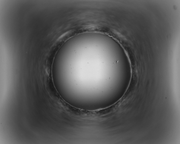 X0000085211206200703301634