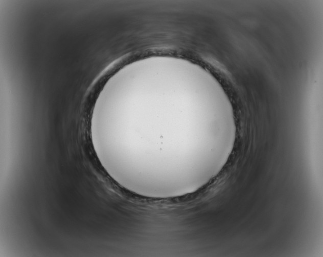 X0000085211208200703301634