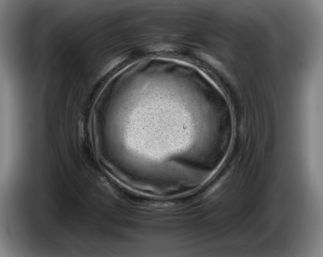 X0000085211209200703301634