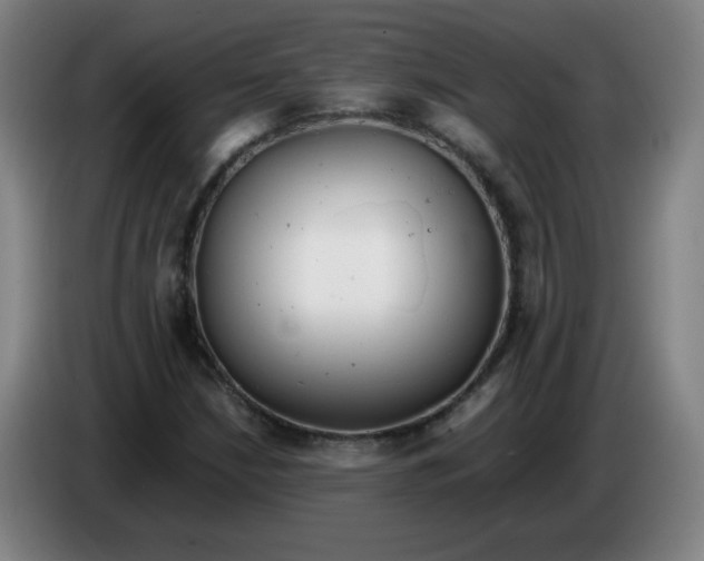 X0000085211210200703301634