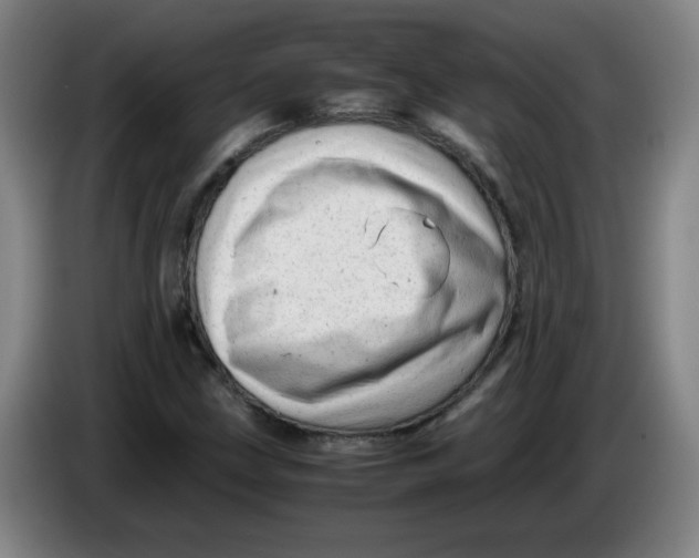 X0000085211211200703301634