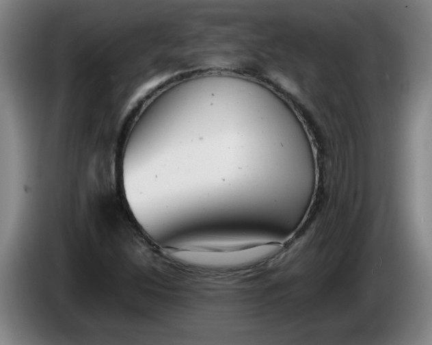 X0000085211214200703301634