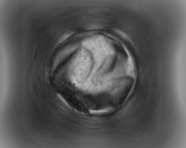 X0000085211217200703301634