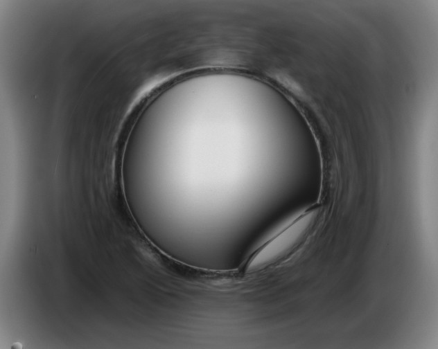 X0000085211222200703301634