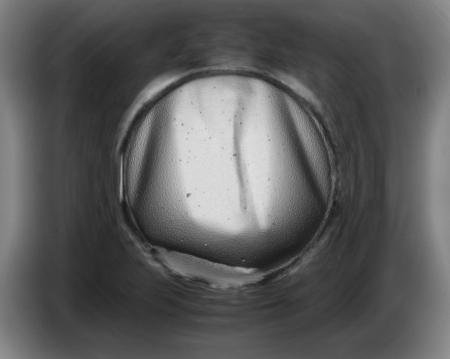 X0000085211223200703301634