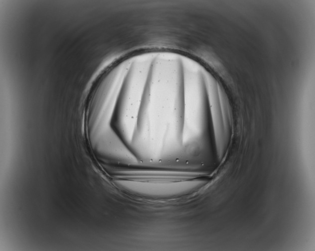 X0000085211224200703301634