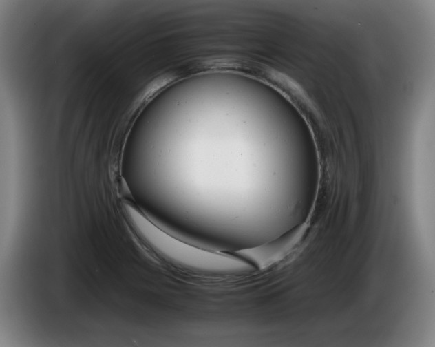 X0000085211225200703301634