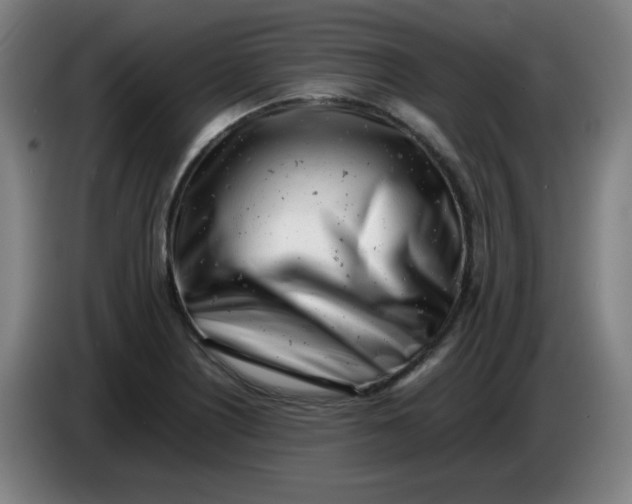 X0000085211226200703301634