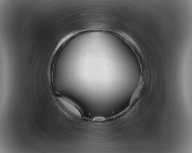 X0000085211230200703301634