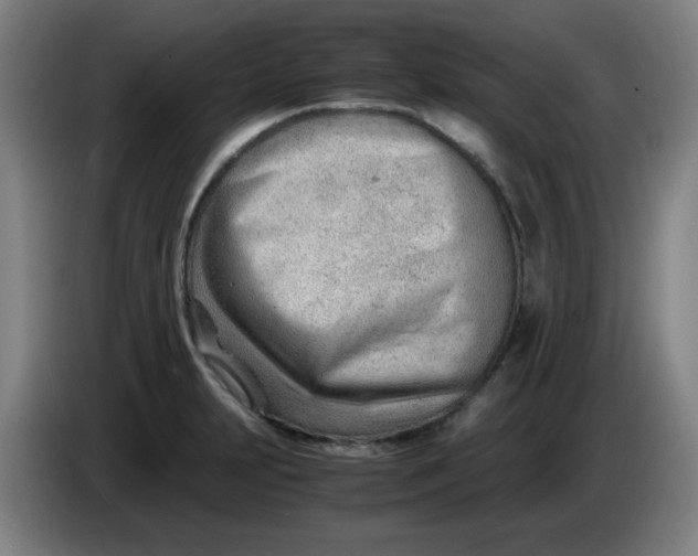 X0000085211231200703301634