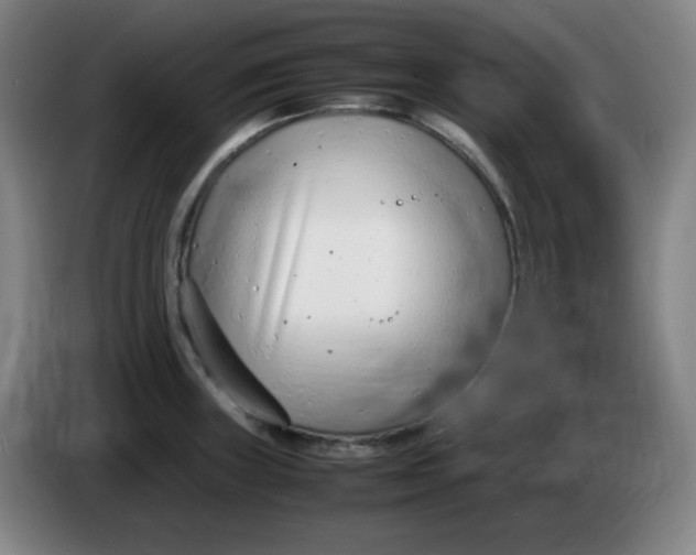 X0000085211235200703301634