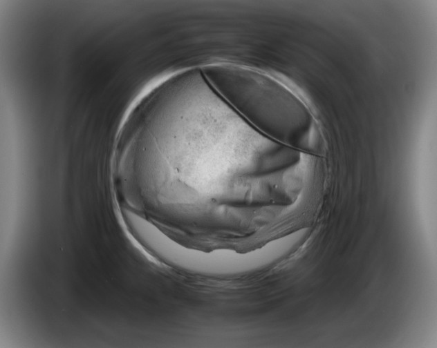 X0000085211239200703301635