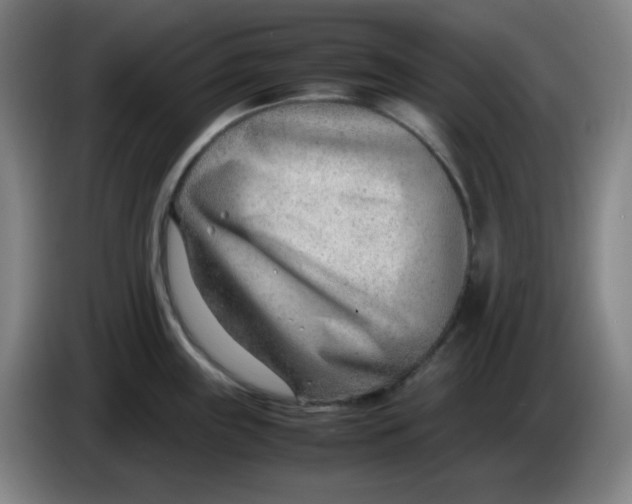 X0000085211243200703301635