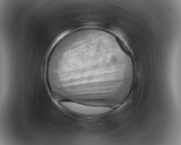 X0000085211245200703301635