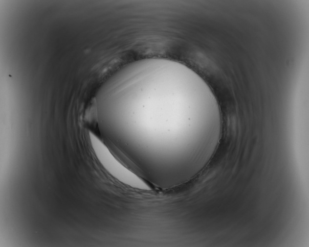 X0000085211250200703301634