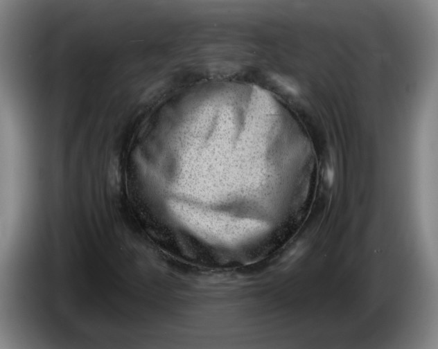 X0000085211252200703301634