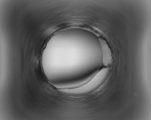 X0000085211257200703301634