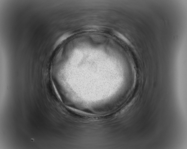 X0000085211259200703301634