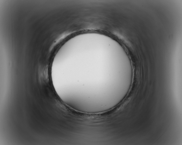 X0000085211262200703301634