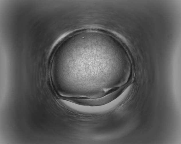 X0000085211271200703301634