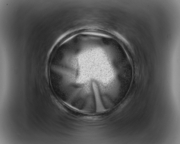 X0000085211272200703301634