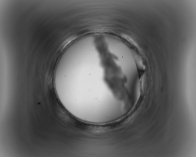 X0000085211273200703301633