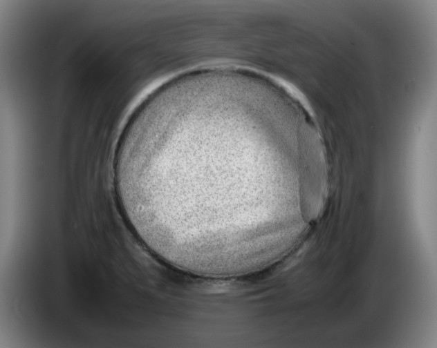 X0000085211279200703301633