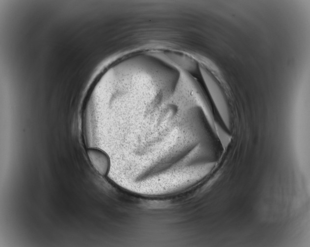 X0000085211280200703301633