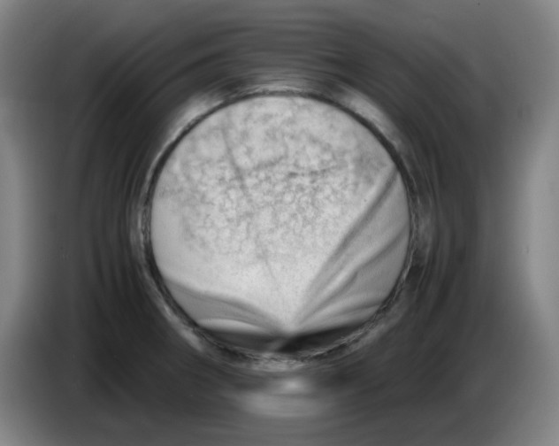 X0000085211282200703301633