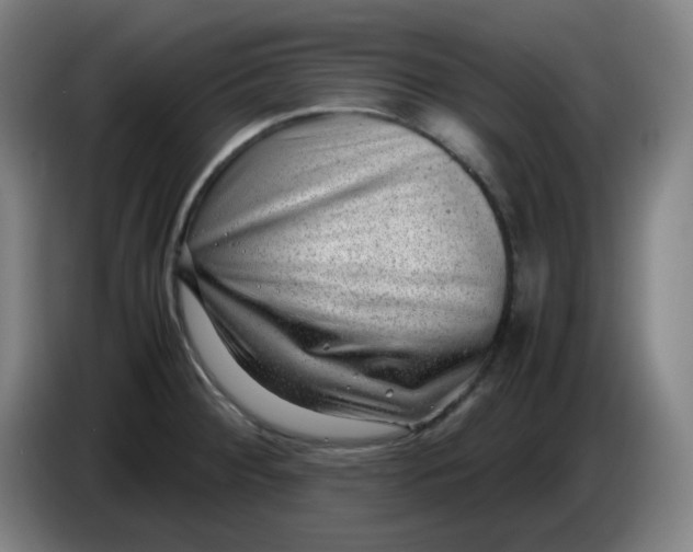 X0000085211284200703301633