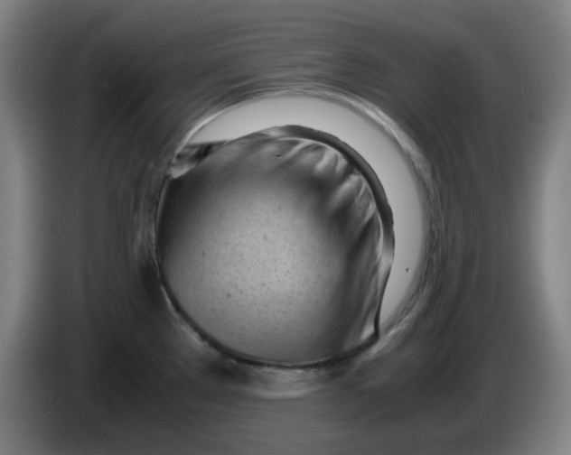 X0000085211289200703301633