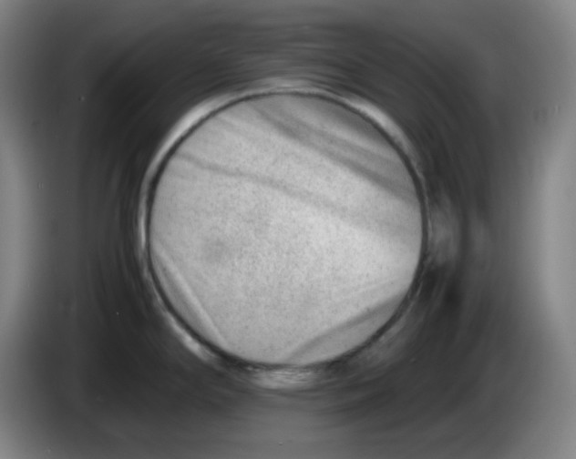 X0000085211294200703301633