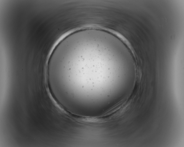 X0000085211295200703301633