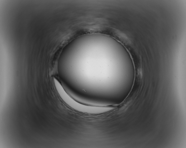 X0000085211300200703301633